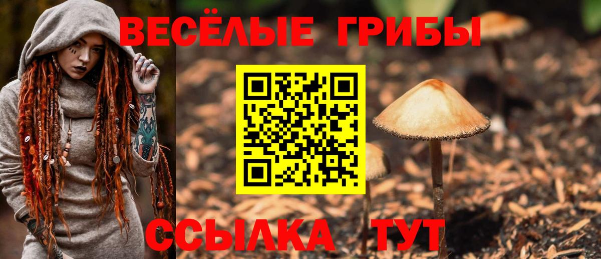 Псилоцибиновые грибы GOLDEN TEACHER Кисловодск