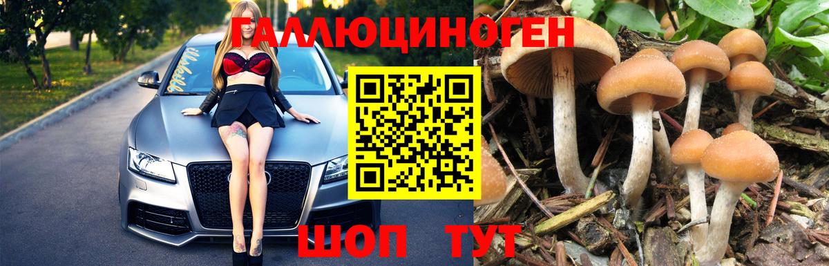 Кисловодск  Псилоцибиновые грибы MAGIC MUSHROOMS  Вход с VPN 