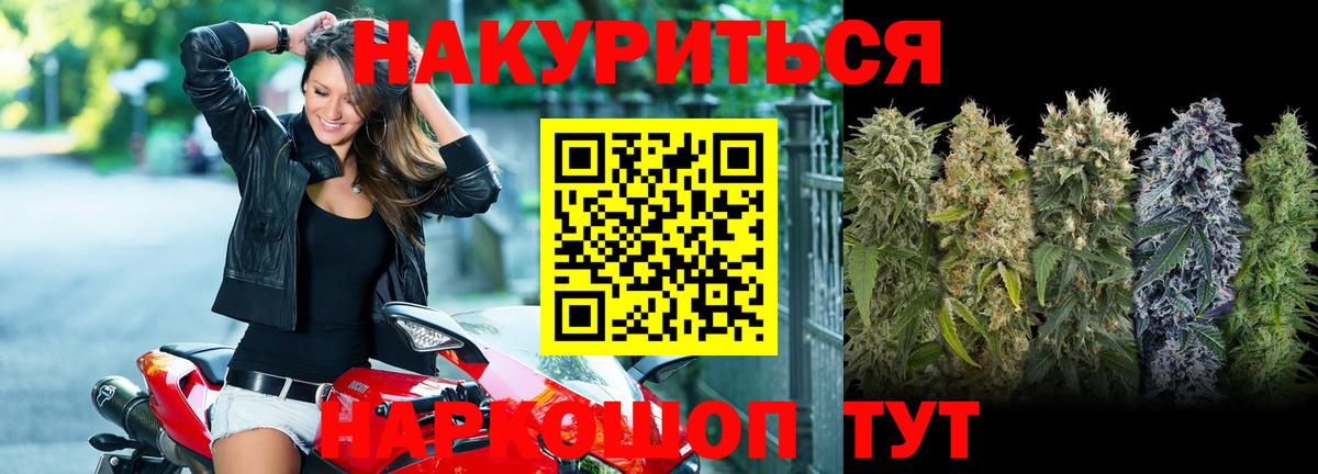 Конопля конопля Кисловодск